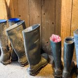 Line of wellies by backdoor