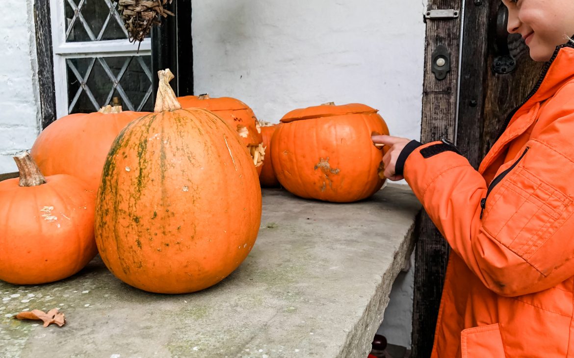 Halloween pumpkins