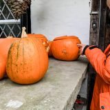 Halloween pumpkins