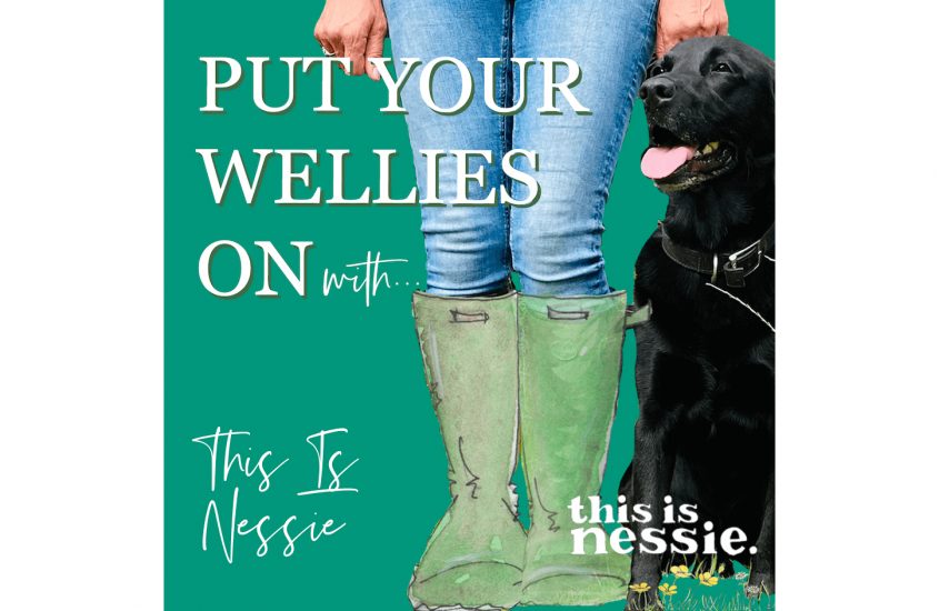 Put Your Wellies On With This Is Nessie