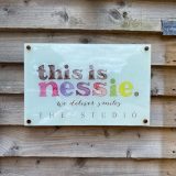 This Is Nessie Open Studio