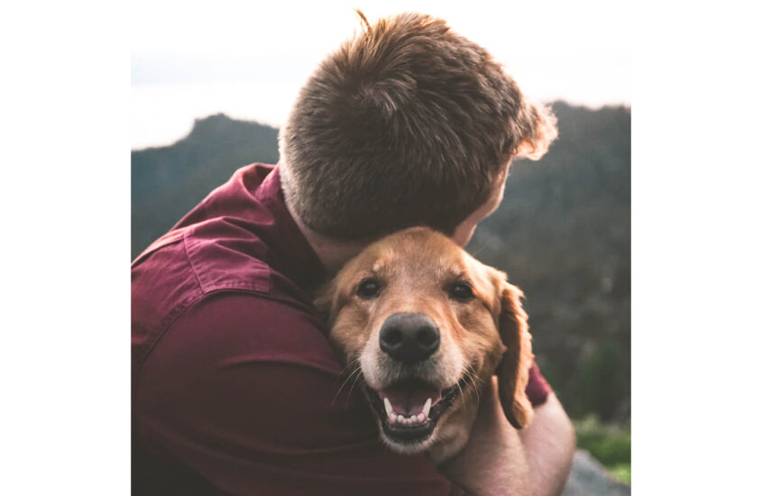 Father’s Day Gift Ideas from the Dog