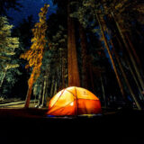 camping tent in the woods