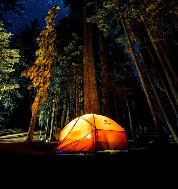 camping tent in the woods