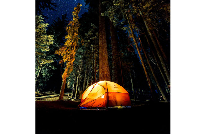 camping tent in the woods